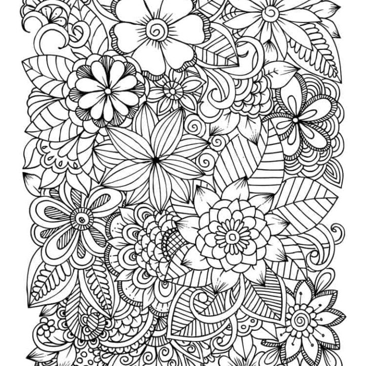 Adult Coloring Pages – Free Coloring Printable Sheets