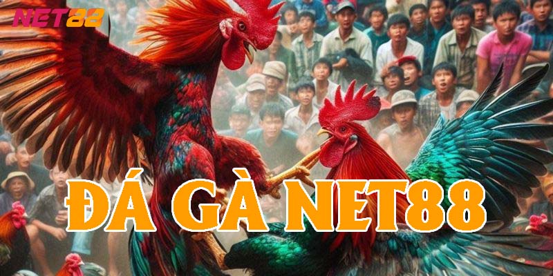 Đá gà tại Net88 có hình thức trực tiếp xem và cá cược