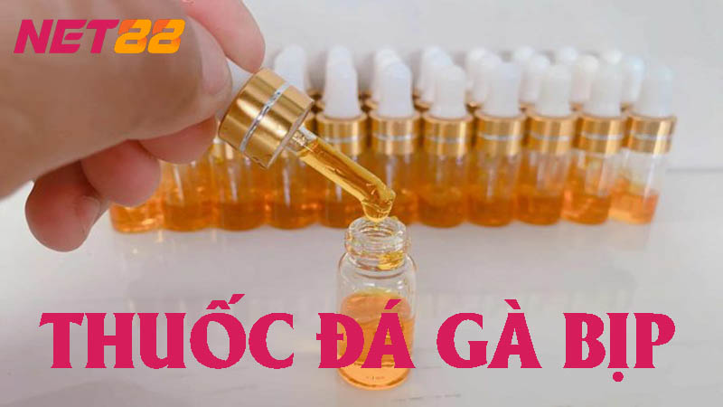 Lý do thuốc đá gà bịp được sử dụng nhiều